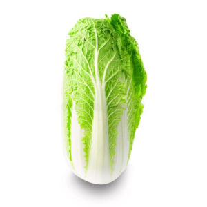 Chinese Cabbage