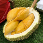 D13-image